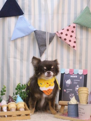 20250506チロルくん